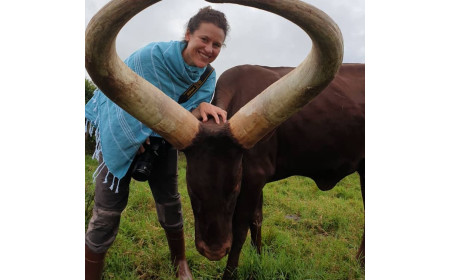 Ankole exporters | livestock marketing and export specialists USA +27631501216