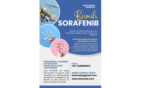 Indian Sorafenib 200mg Tablet brands Online Lower Cost Manila Philippines