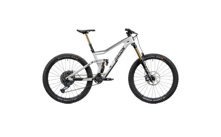 2023 Radon JAB 10.0 HD Mountain Bike - DREAMBIKESHOP