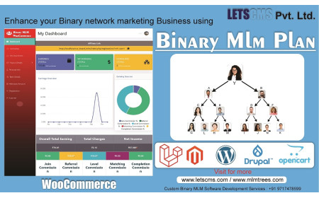 Binary mlm Plan | WP Binary MLM –Binary MLM Plugins for WordPress