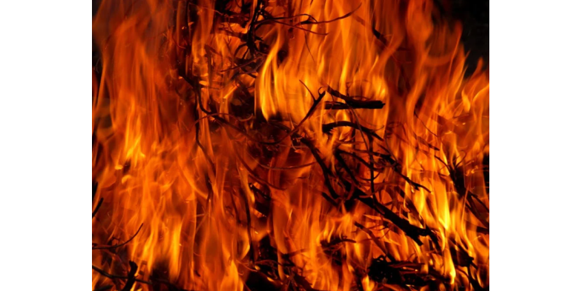 Невада получит 3,5 миллиона долларов на борьбу с лесными пожарами и сокращение потребления топлива