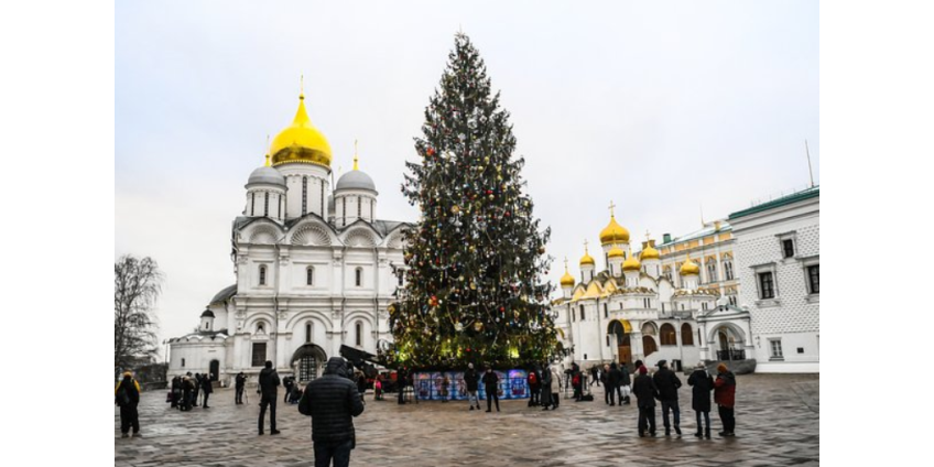 В России переработают главную новогоднюю елку